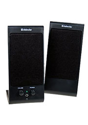 DEFENDER SPK-165, �������,4W,(RMS) ��������������