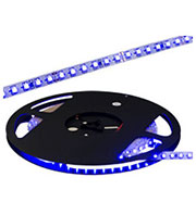 RT2-5000 24V Blue 2X,������� ������ ������������ �����,(3528,600LED,LU