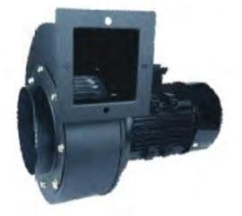 ������������ ������������