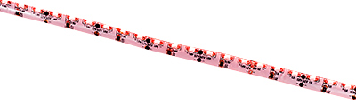 ARL RSW2-5000E RED, 2x, красная св.диодная лента,(335,600LED.12V)бок.свеч.