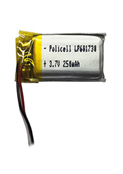 LP601730-PCM,  - (Li-Pol) 250 3.7,  , PoliCell