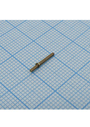  ������������, ������