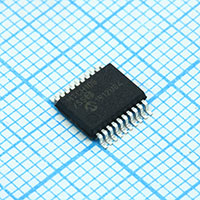  Microchip