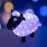  NEON-NIGHT