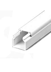  ���� ���