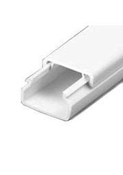  ���� ���