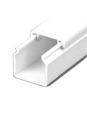  ���� ���