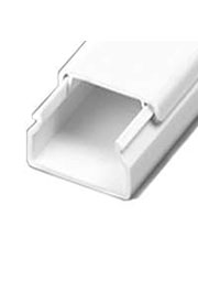  ���� ���