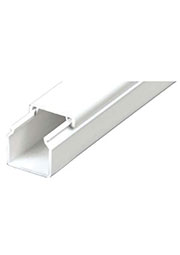  ���� ���