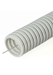  ���� ���