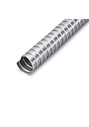  ���� ���