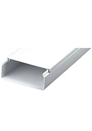  ���� ���