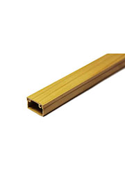  ���� ���