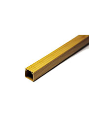  ���� ���