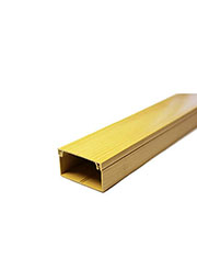  ���� ���