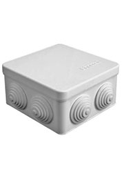  ����������������