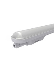  ������� ����