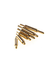  ��� �������