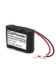  GoPower