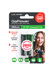  GoPower