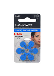  GoPower